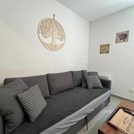 Fenix Appartement T2 40 M2 Cosy Rdc Plein Centre Ville Pierrelatte Eksteriør billede